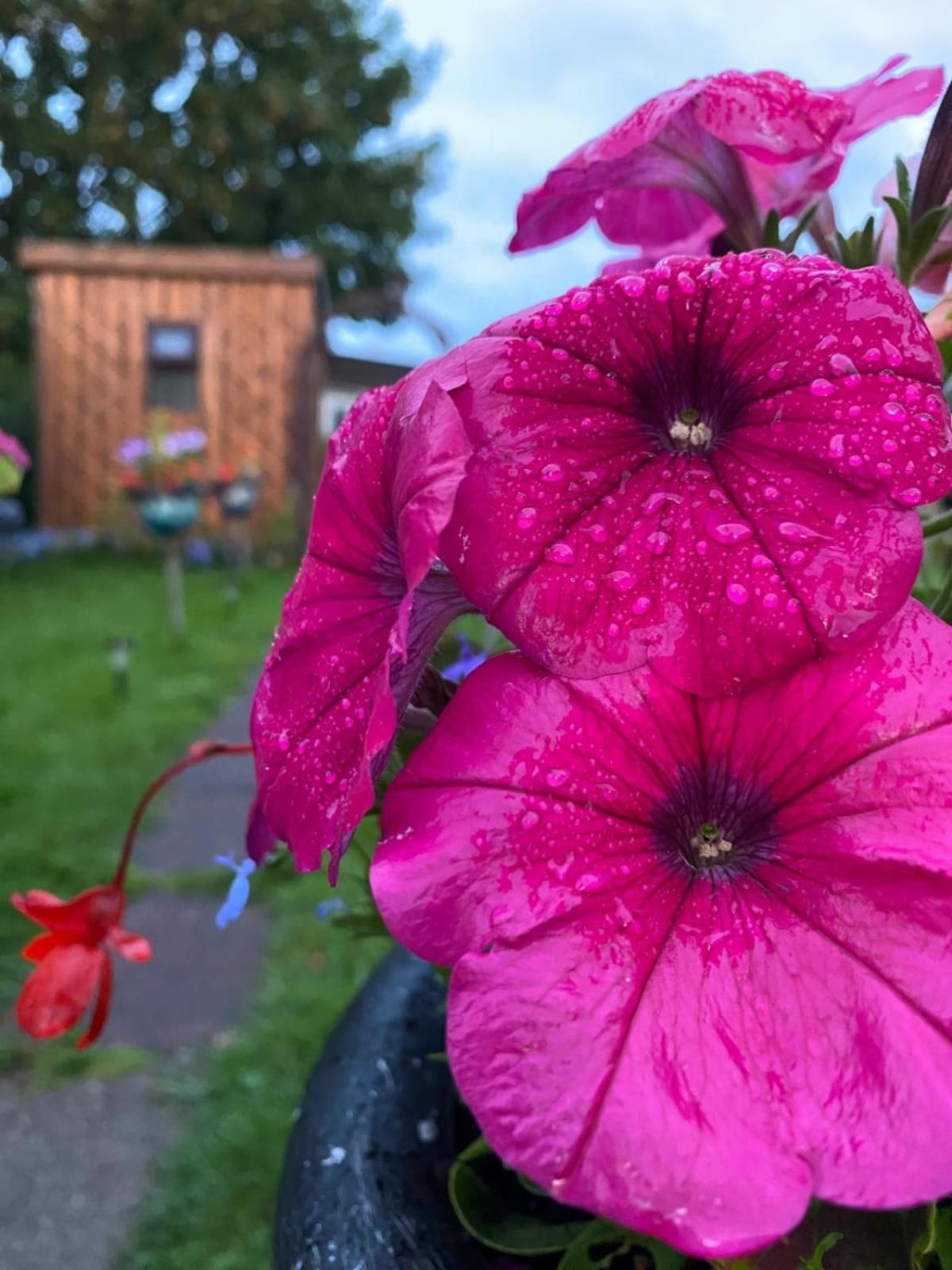 Birds And The Bees Summer House Endon Dış mekan fotoğraf